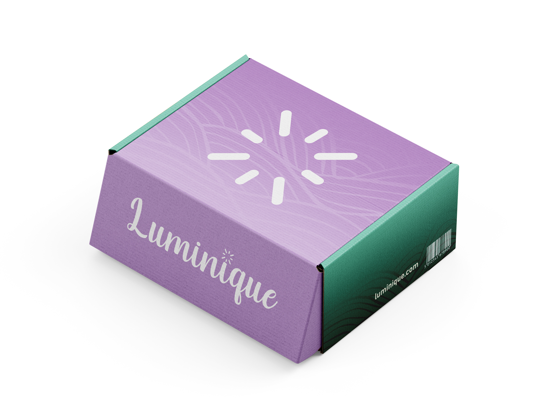 Luminique branded shipping box