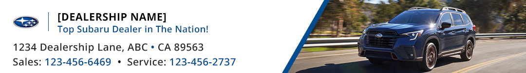 Subaru dealership banner design